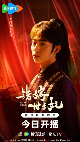 错嫁世子妃 角色海报