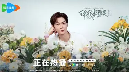 许我耀眼 角色海报