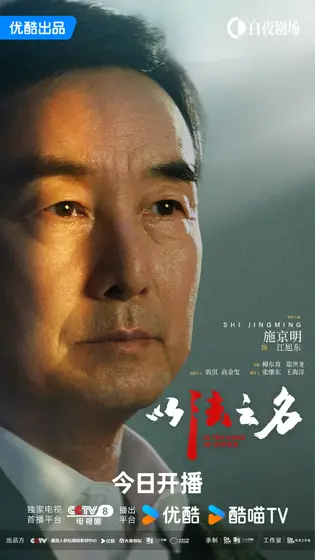 以法之名 角色海报