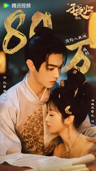 子夜归 数据战报