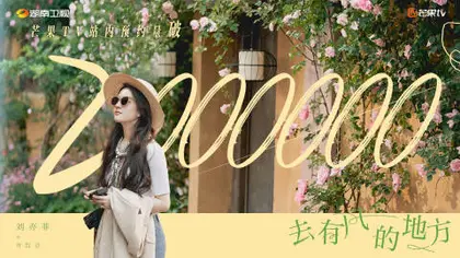 去有风的地方 数据战报