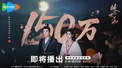 桃花映江山 数据战报