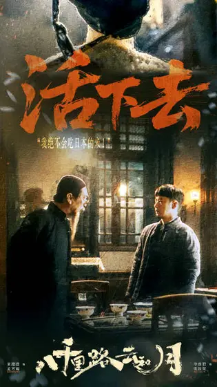 八千里路云和月 剧情海报