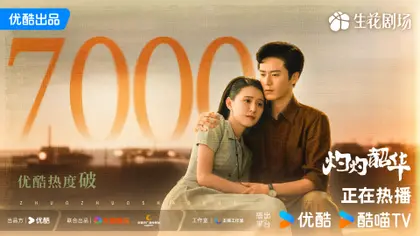 灼灼韶华 数据战报