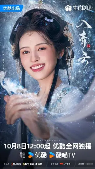 入青云 角色海报