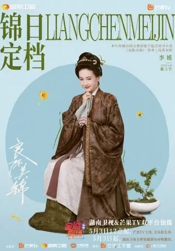 良陈美锦 角色海报