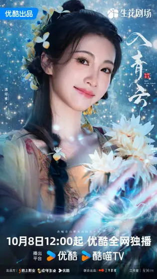 入青云 角色海报