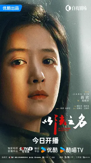 以法之名 角色海报