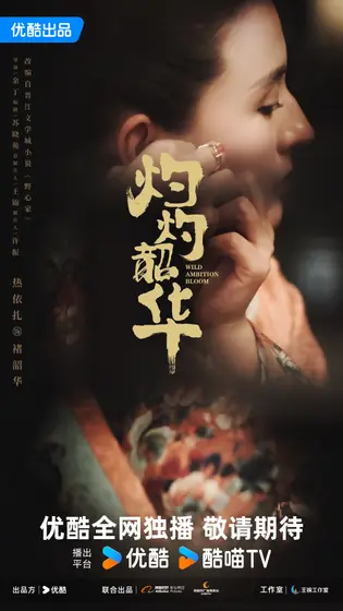 灼灼韶华 角色海报