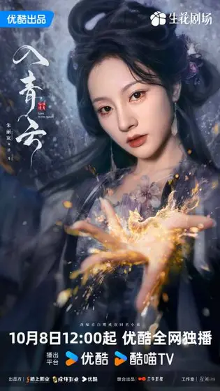 入青云 角色海报