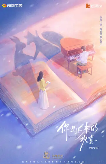 你是迟来的欢喜 概念海报