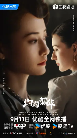 灼灼韶华 关系海报