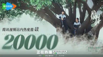 焕羽 数据战报
