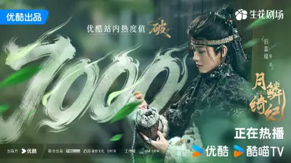 月鳞绮纪 数据战报