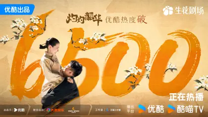 灼灼韶华 数据战报