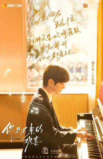 你是迟来的欢喜 角色海报