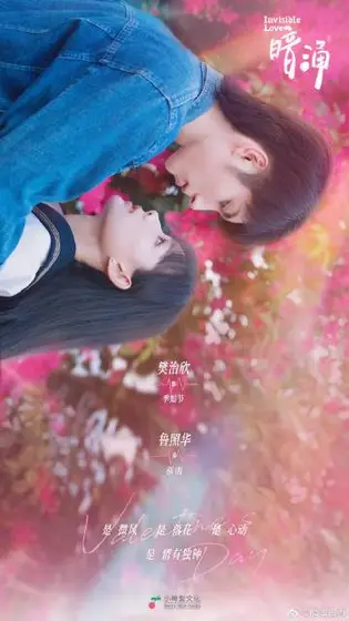 季雨倾城 节日海报