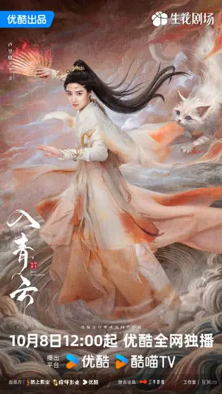 入青云 角色海报