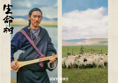 生命树 剧情海报