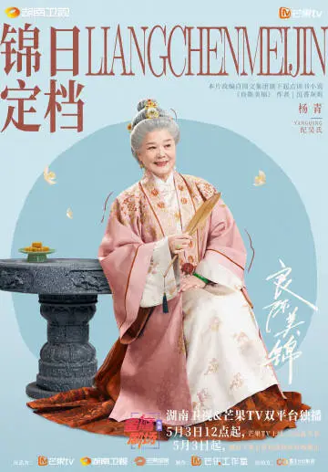 良陈美锦 角色海报