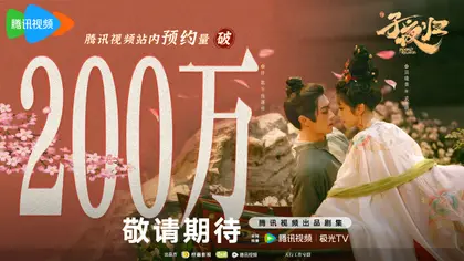 子夜归 数据战报