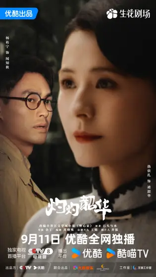 灼灼韶华 关系海报