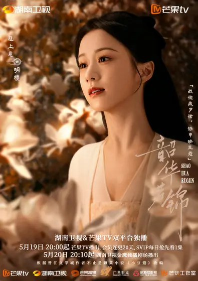 韶华若锦 角色海报