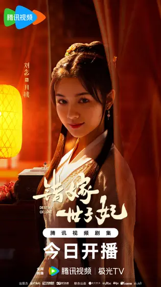 错嫁世子妃 角色海报