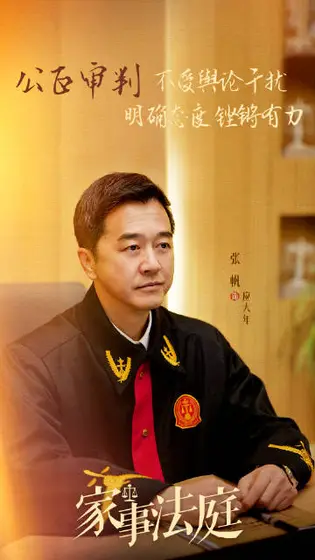 家事法庭 剧情海报