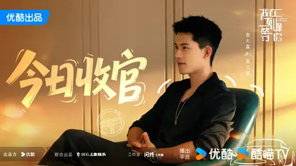 我在顶峰等你 信息海报