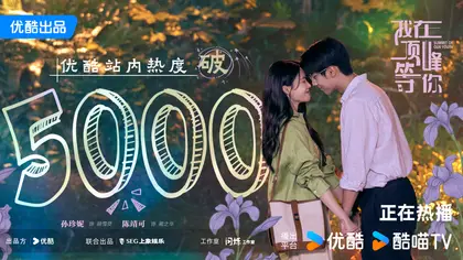 我在顶峰等你 数据战报
