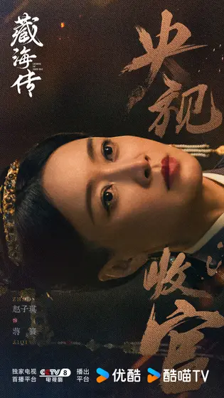 藏海传 信息海报