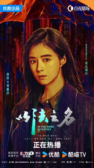 以法之名 角色海报