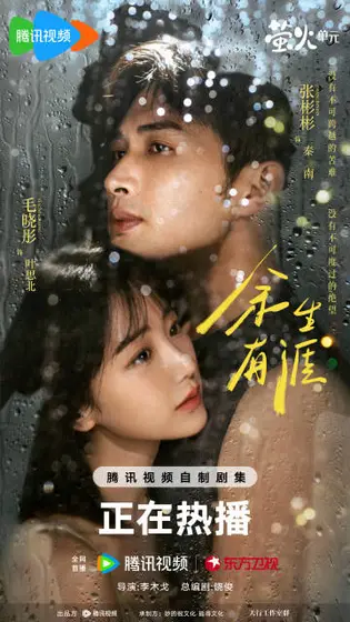 余生有涯 关系海报