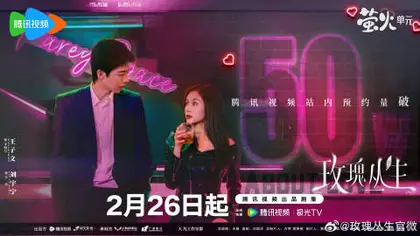 玫瑰丛生 数据战报
