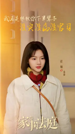家事法庭 剧情海报