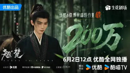 翘楚 数据战报