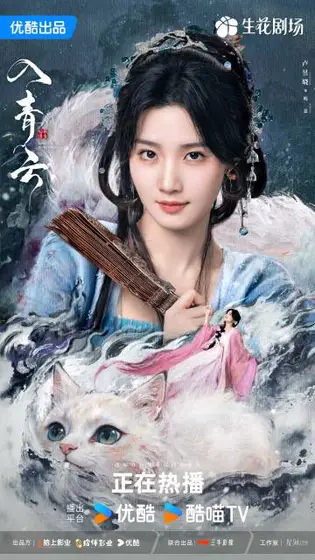 入青云 角色海报