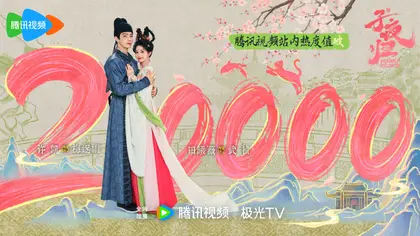 子夜归 数据战报