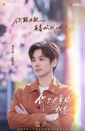 你是迟来的欢喜 角色海报