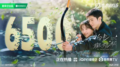 白色橄榄树 数据战报