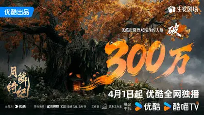 月鳞绮纪 数据战报