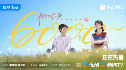 樱桃琥珀 数据战报