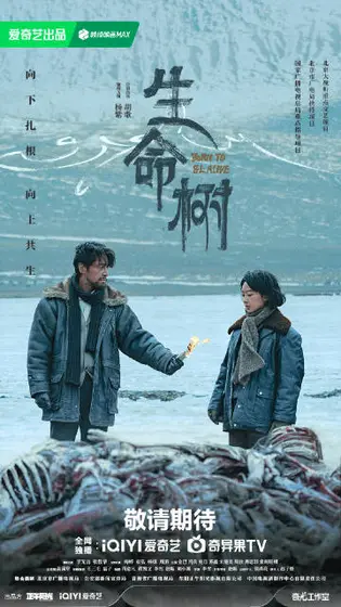 生命树 关系海报