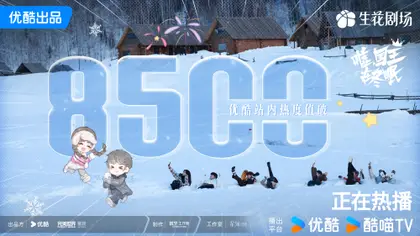 嘘，国王在冬眠 数据战报