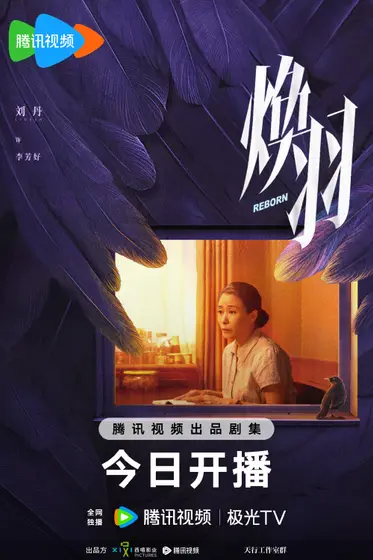 焕羽 角色海报