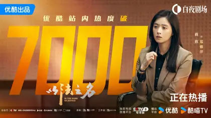 以法之名 数据战报