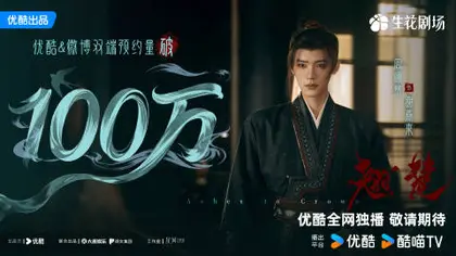 翘楚 数据战报