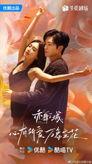 亦舞之城 关系海报
