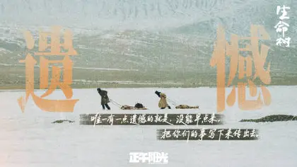生命树 剧情海报